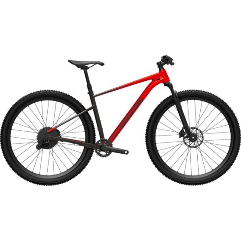 Mountain Bike Hire