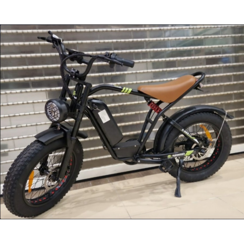 Chenxian Ebike Plus 2023